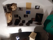 Výlet Dobrovice  Ptačí svět